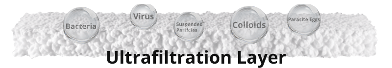 Ultrafiltration Layer