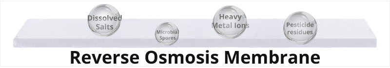 Reverse Osmosis Membrane