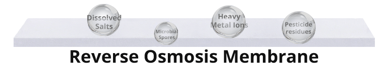 Reverse Osmosis Membrane