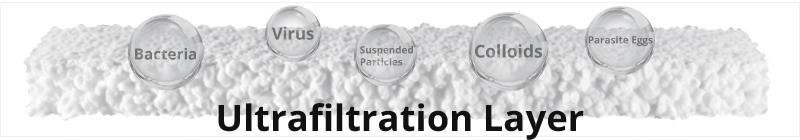 Ultrafiltration Layer